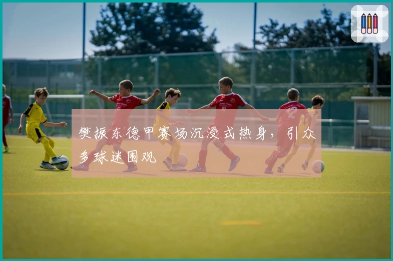 樊振东德甲赛场沉浸式热身，引众多球迷围观