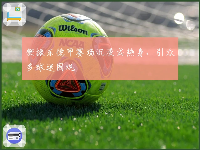 樊振东德甲赛场沉浸式热身，引众多球迷围观